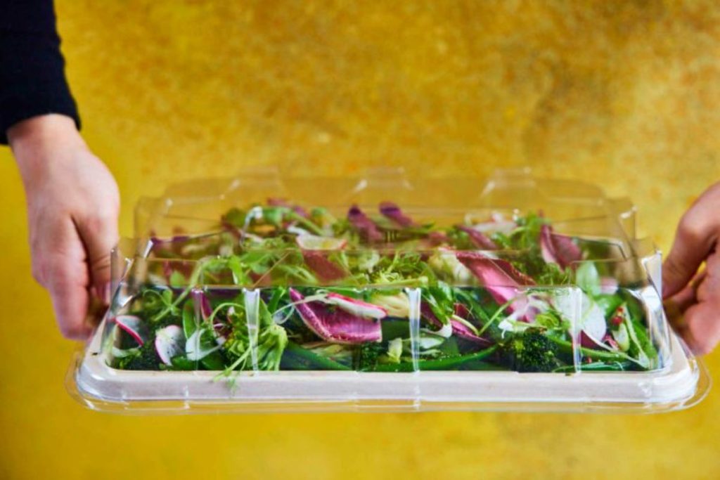 catering-delivered-salad-min