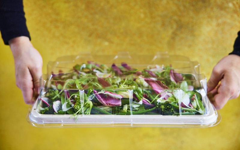 order-platters-near-me-salad-platters-hands-holding-platter-min